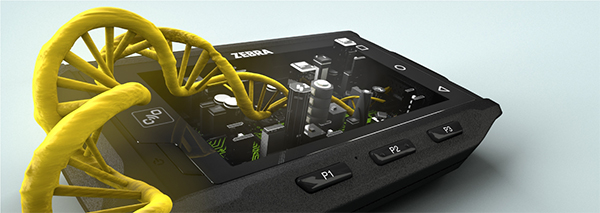 Mobility DNA